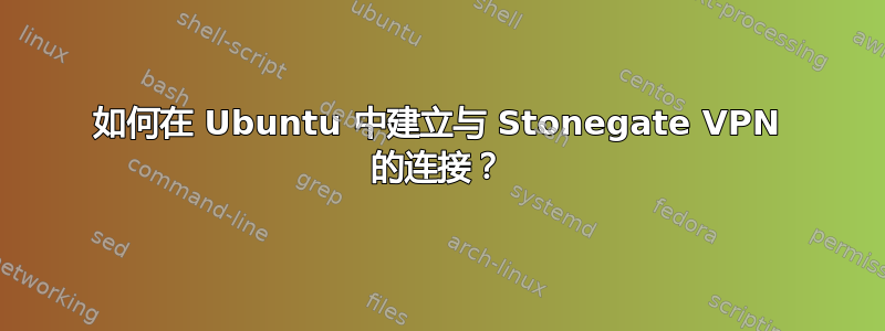 如何在 Ubuntu 中建立与 Stonegate VPN 的连接？