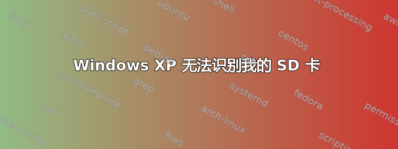 Windows XP 无法识别我的 SD 卡