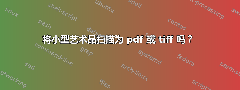 将小型艺术品扫描为 pdf 或 tiff 吗？