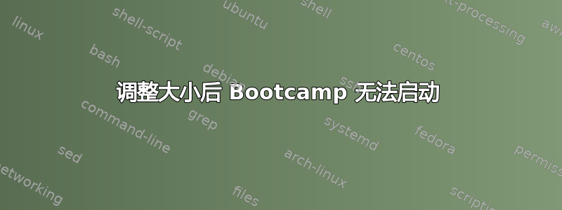 调整大小后 Bootcamp 无法启动