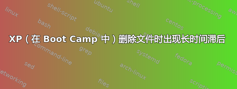 XP（在 Boot Camp 中）删除文件时出现长时间滞后