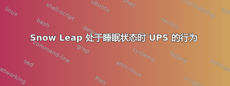 Snow Leap 处于睡眠状态时 UPS 的行为