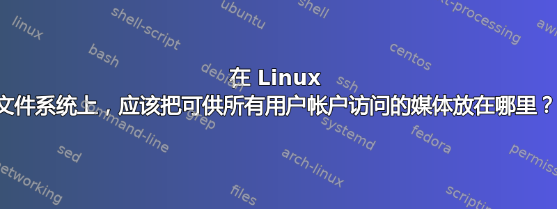 在 Linux 文件系统上，应该把可供所有用户帐户访问的媒体放在哪里？