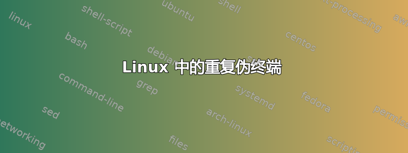 Linux 中的重复伪终端