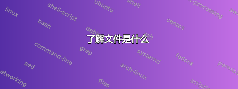 了解文件是什么