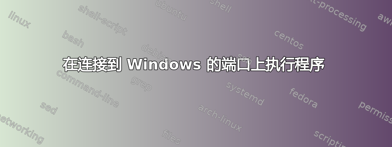 在连接到 Windows 的端口上执行程序