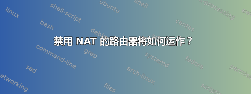 禁用 NAT 的路由器将如何运作？