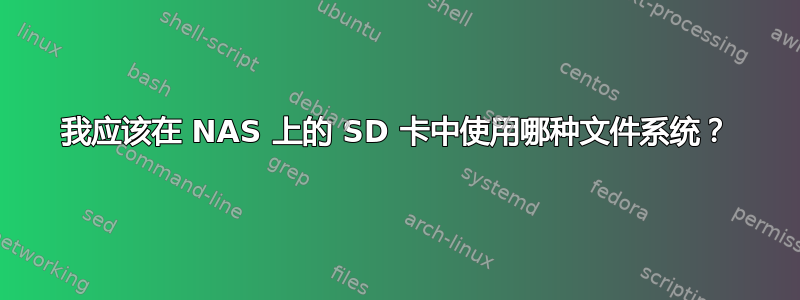 我应该在 NAS 上的 SD 卡中使用哪种文件系统？