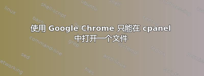 使用 Google Chrome 只能在 cpanel 中打开一个文件