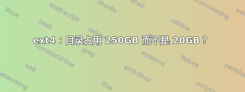 ext4：目录占用 250GB 而不是 20GB？