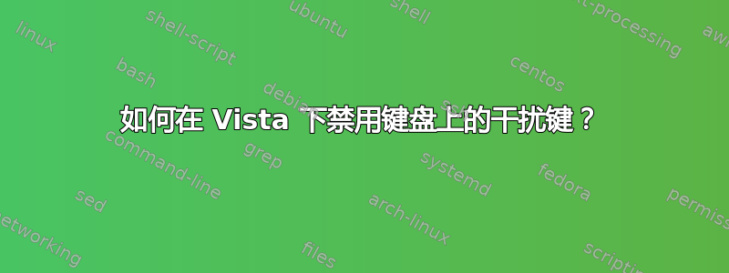 如何在 Vista 下禁用键盘上的干扰键？