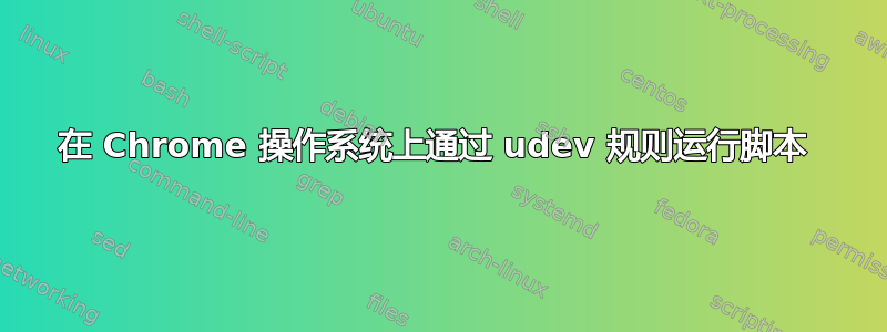 在 Chrome 操作系统上通过 udev 规则运行脚本 