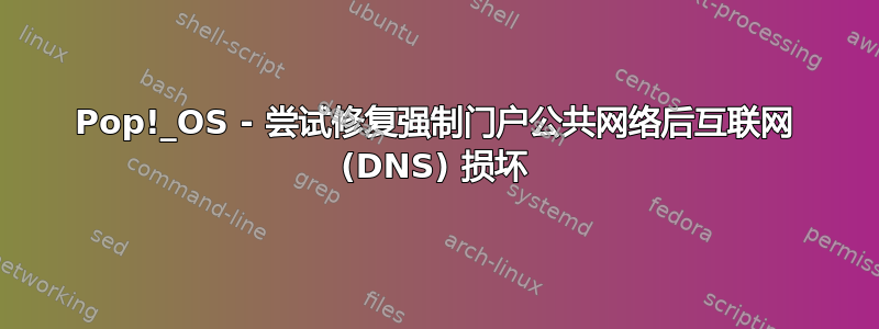 Pop!_OS - 尝试修复强制门户公共网络后互联网 (DNS) 损坏