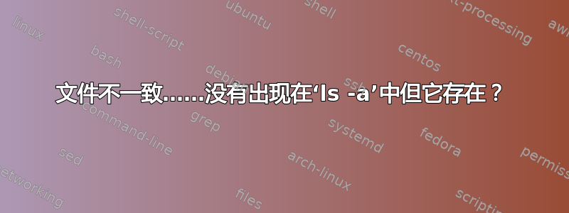 文件不一致……没有出现在‘ls -a’中但它存在？