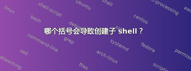 哪个括号会导致创建子 shell？