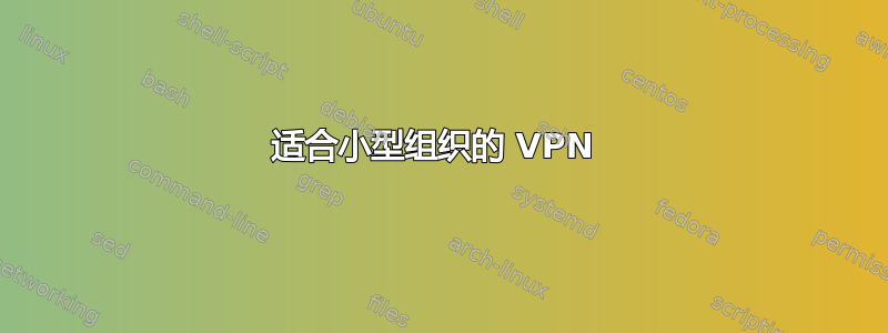 适合小型组织的 VPN 