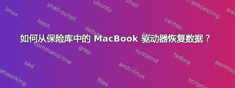 如何从保险库中的 MacBook 驱动器恢复数据？