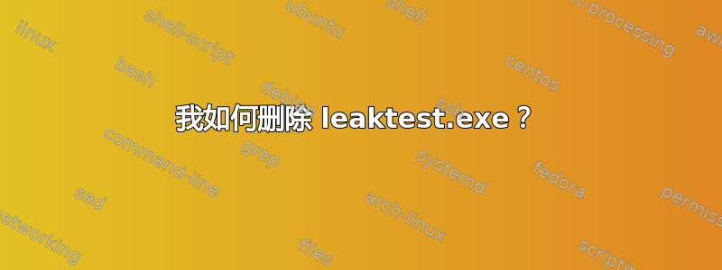 我如何删除 leaktest.exe？