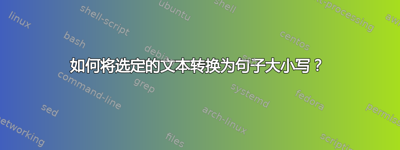 如何将选定的文本转换为句子大小写？