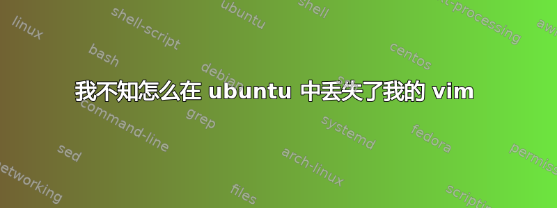 我不知怎么在 ubuntu 中丢失了我的 vim