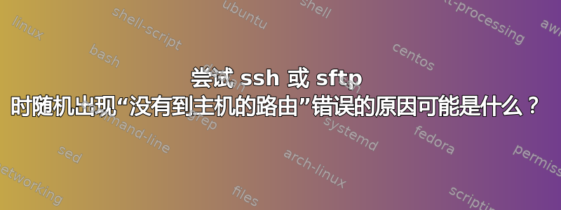 尝试 ssh 或 sftp 时随机出现“没有到主机的路由”错误的原因可能是什么？