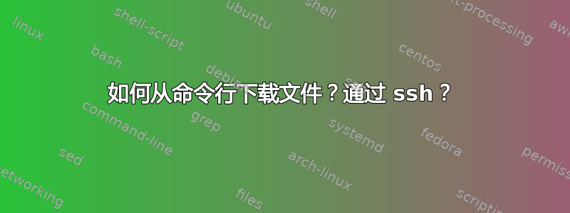 如何从命令行下载文件？通过 ssh？