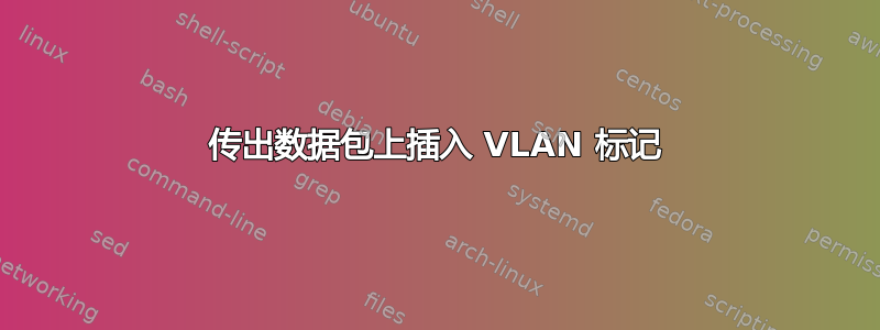 传出数据包上插入 VLAN 标记