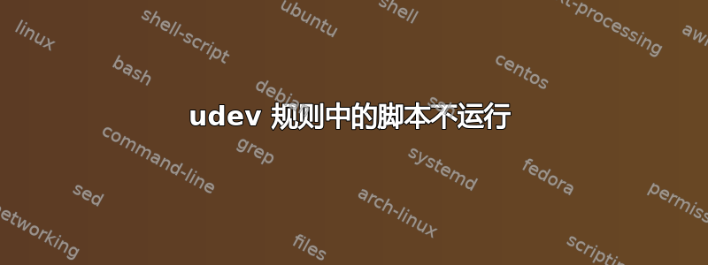 udev 规则中的脚本不运行