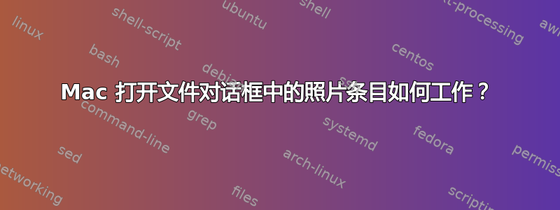 Mac 打开文件对话框中的照片条目如何工作？