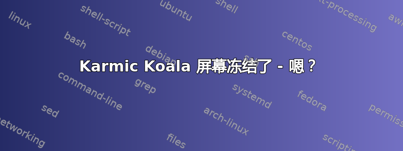 Karmic Koala 屏幕冻结了 - 嗯？