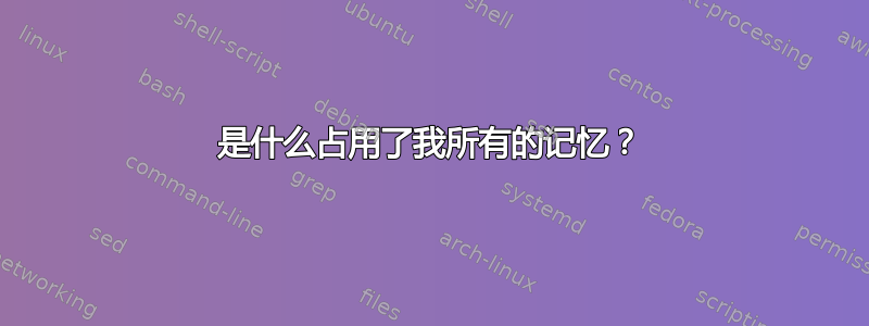 是什么占用了我所有的记忆？