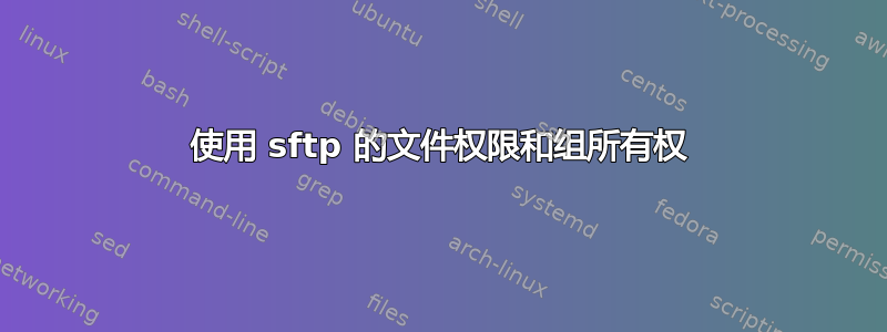 使用 sftp 的文件权限和组所有权