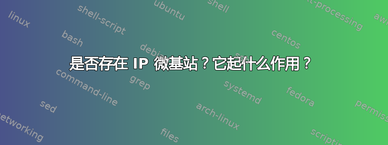 是否存在 IP 微基站？它起什么作用？