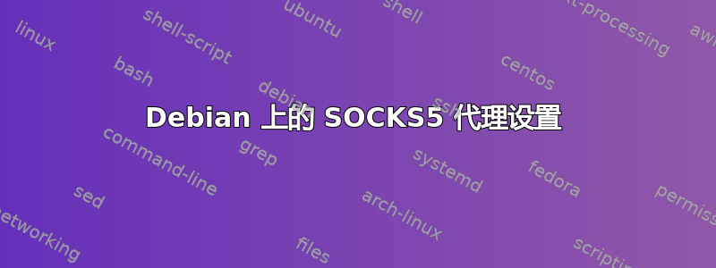 Debian 上的 SOCKS5 代理设置