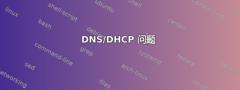 DNS/DHCP 问题