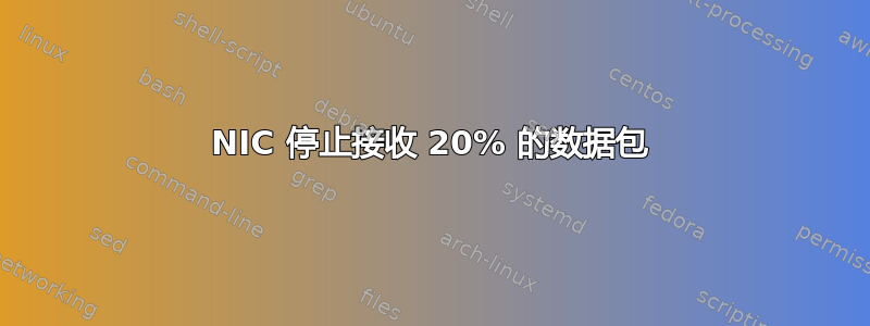 NIC 停止接收 20% 的数据包