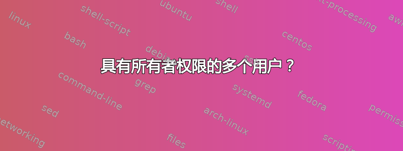 具有所有者权限的多个用户？