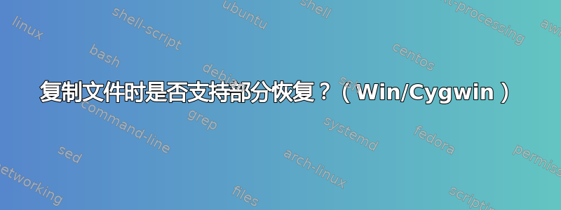 复制文件时是否支持部分恢复？（Win/Cygwin）