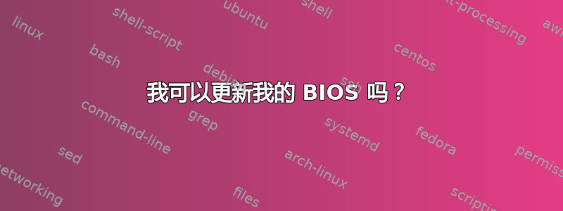 我可以更新我的 BIOS 吗？