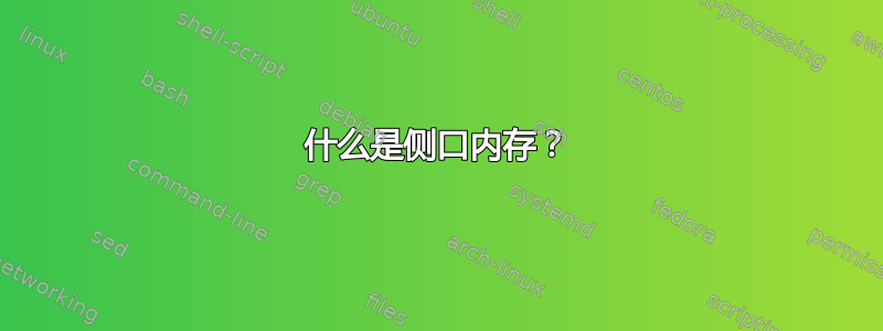 什么是侧口内存？