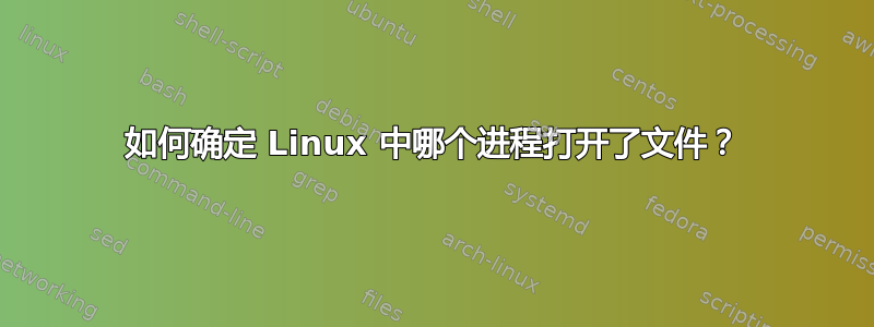 如何确定 Linux 中哪个进程打开了文件？