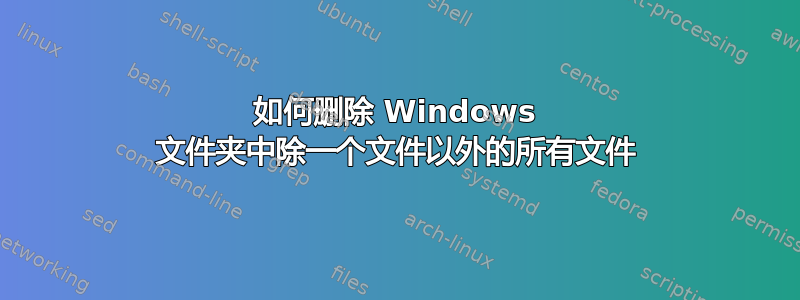 如何删除 Windows 文件夹中除一个文件以外的所有文件