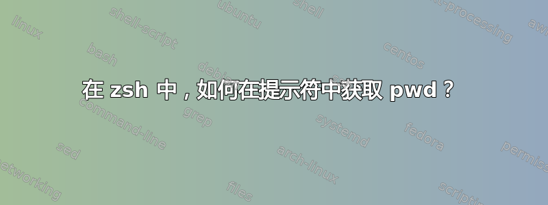 在 zsh 中，如何在提示符中获取 pwd？