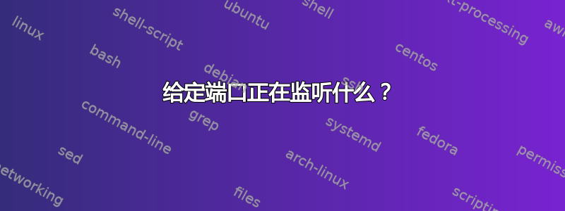 给定端口正在监听什么？