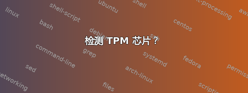 检测 TPM 芯片？