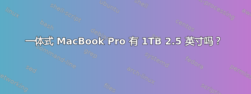 一体式 MacBook Pro 有 1TB 2.5 英寸吗？