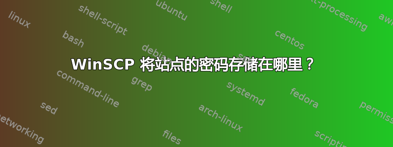 WinSCP 将站点的密码存储在哪里？