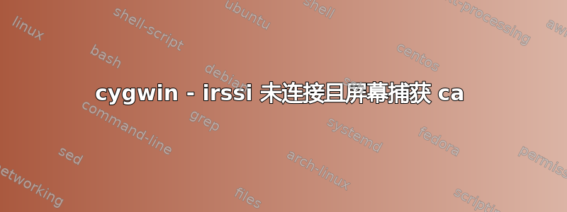 cygwin - irssi 未连接且屏幕捕获 ca