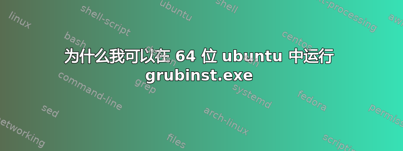 为什么我可以在 64 位 ubuntu 中运行 grubinst.exe