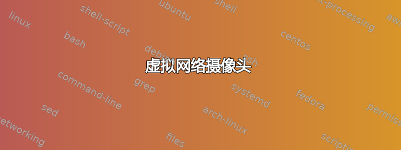 虚拟网络摄像头